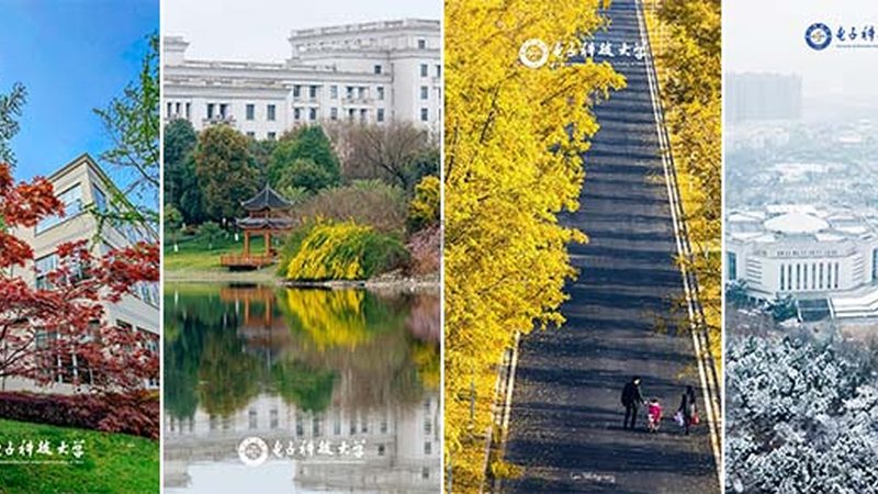 深圳物联网电子模块：核心部件解析与选型要点