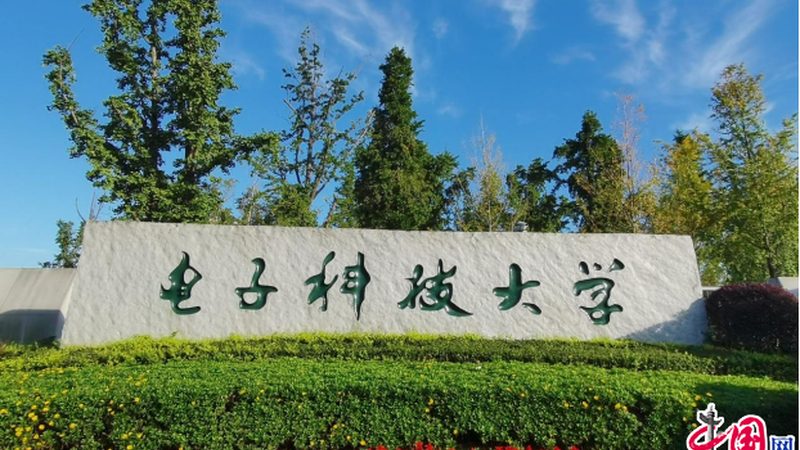 智能家居电子配件定制：揭秘行业排名背后的考量因素